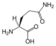 L-glutamine i Keto Diet